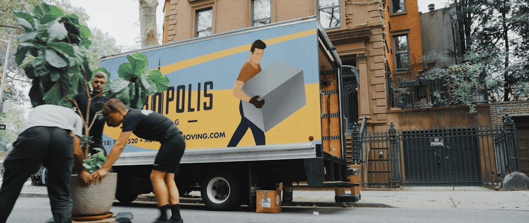 6 Factors to Consider When Hiring an International Removal Company